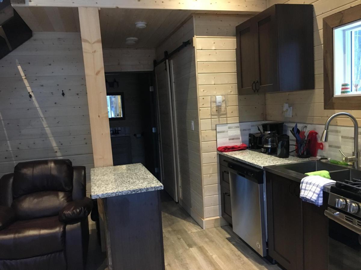 Cougar Mountain Lodge And Resort Cabin Rentals Valemount Exterior photo