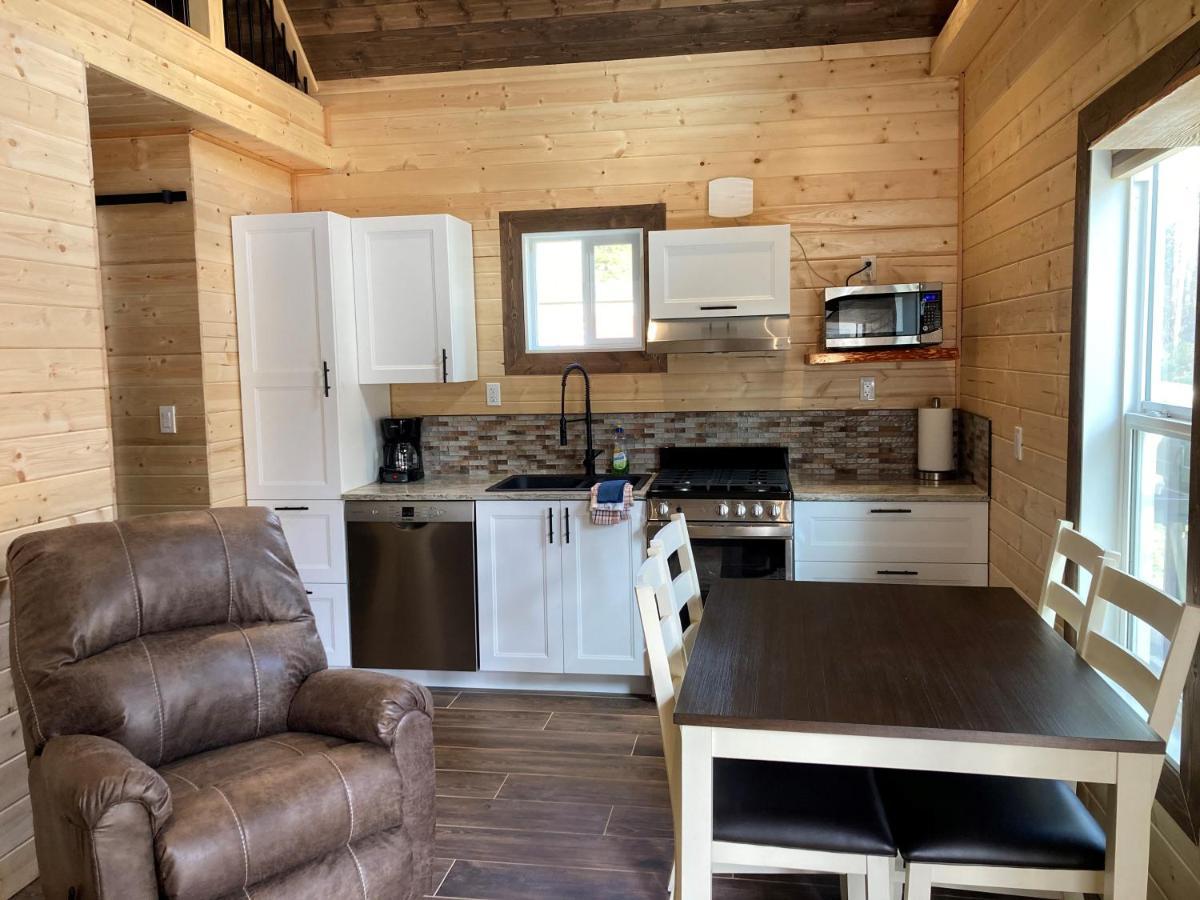 Cougar Mountain Lodge And Resort Cabin Rentals Valemount Exterior photo