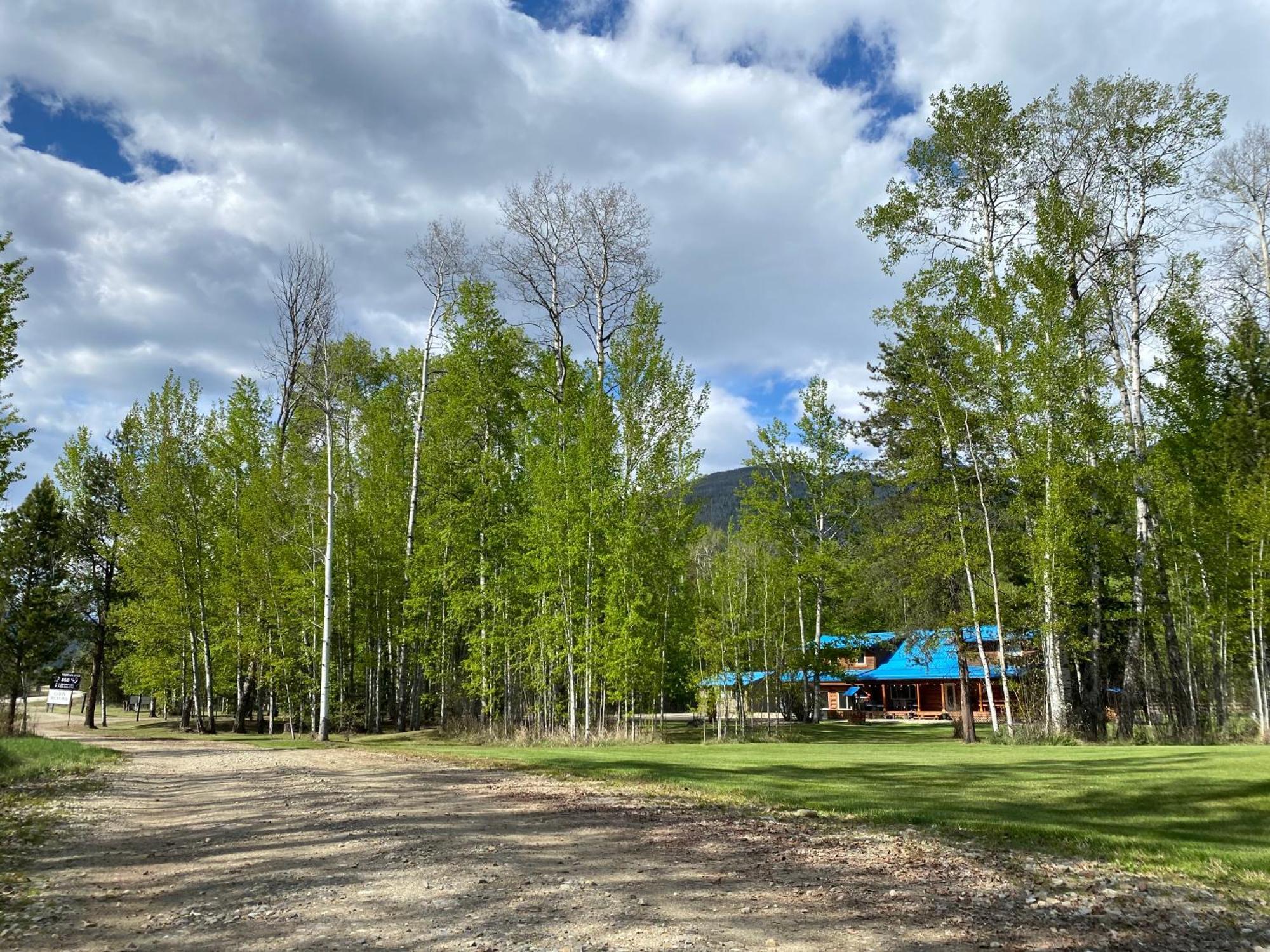 Cougar Mountain Lodge And Resort Cabin Rentals Valemount Exterior photo